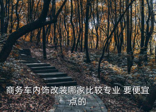 大庆哪里汽车内饰改的好，商务车内饰改装哪家比较专业 要便宜点的