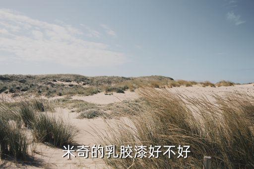 米奇的乳胶漆好不好