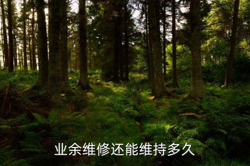 业余维修还能维持多久