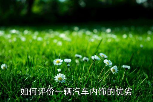 如何评价一辆汽车内饰的优劣
