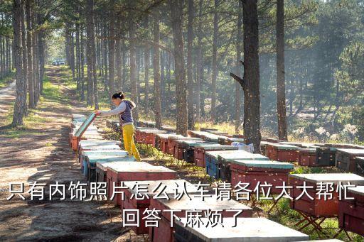只有内饰照片怎么认车请各位大大帮忙回答下麻烦了