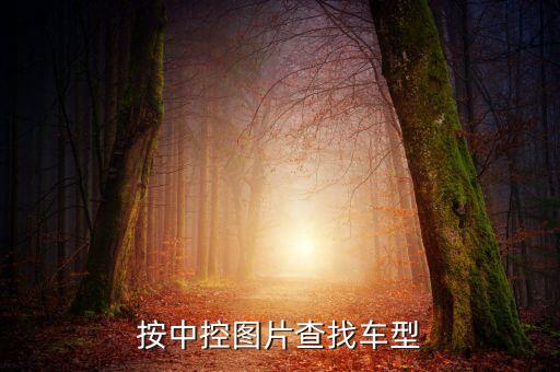 按中控图片查找车型