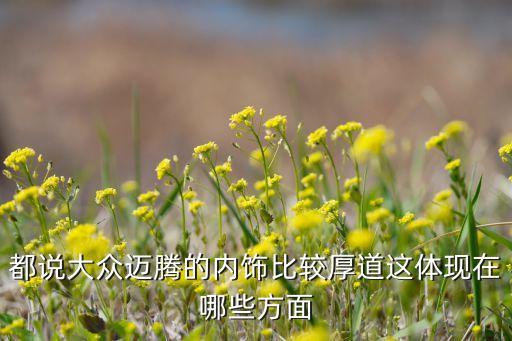 大众汽车内饰用料怎么样，都说大众迈腾的内饰比较厚道这体现在哪些方面