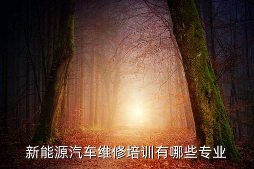 新能源汽车维修培训有哪些专业