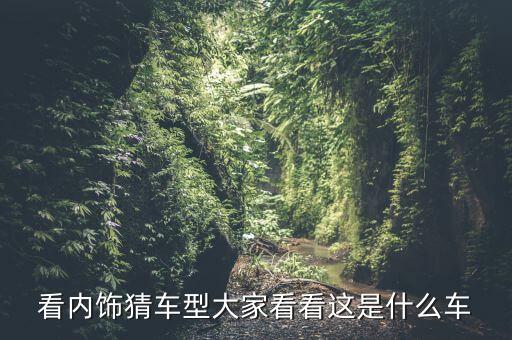 看内饰猜车型大家看看这是什么车