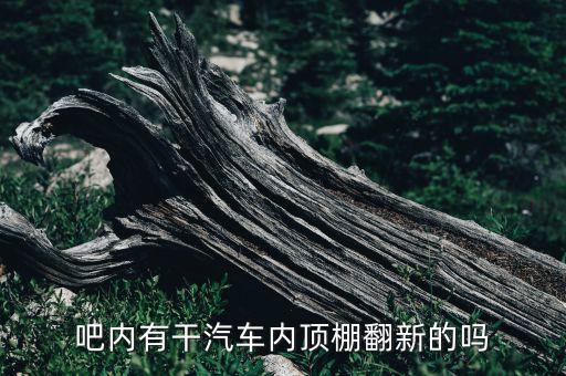 吧内有干汽车内顶棚翻新的吗