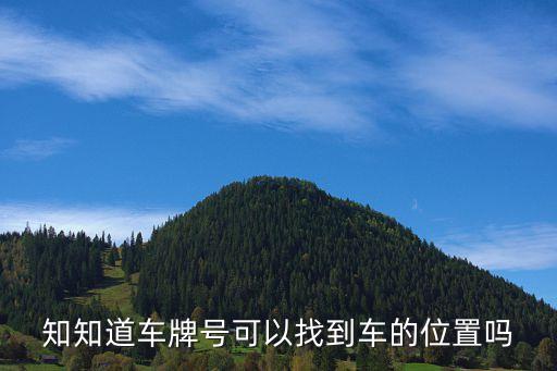 通过车牌号能查车的定位吗，知知道车牌号可以找到车的位置吗
