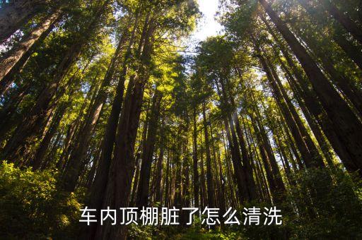 车内顶棚脏了怎么清洗