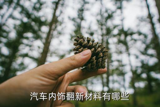 汽车内饰翻新材料有哪些