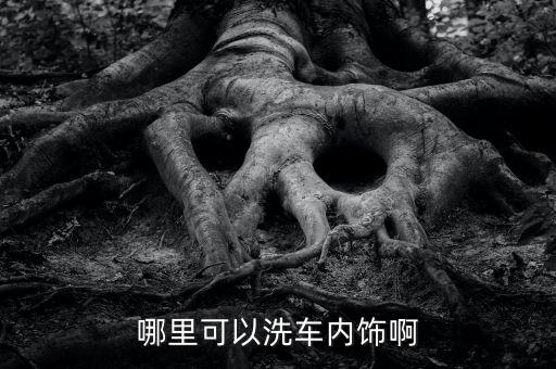 哪里可以洗车内饰啊
