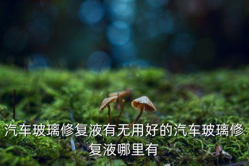汽车玻璃修复液有无用好的汽车玻璃修复液哪里有