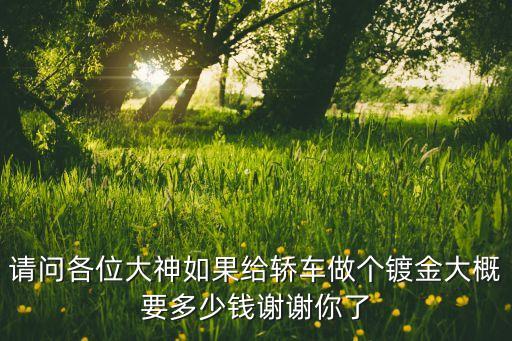 请问各位大神如果给轿车做个镀金大概要多少钱谢谢你了