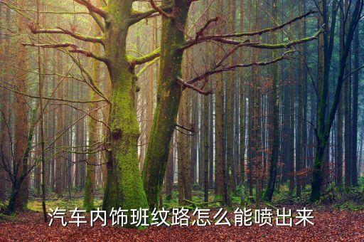 汽车内饰班纹路怎么能喷出来