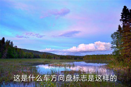 这是什么车方向盘标志是这样的