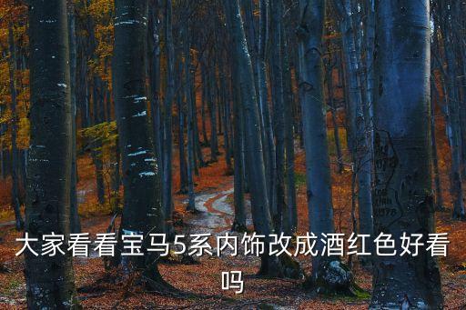 大家看看宝马5系内饰改成酒红色好看吗