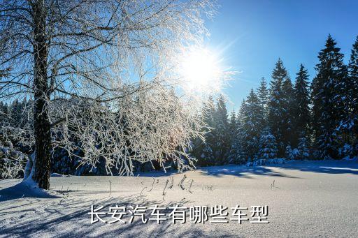 长安汽车有哪些车型