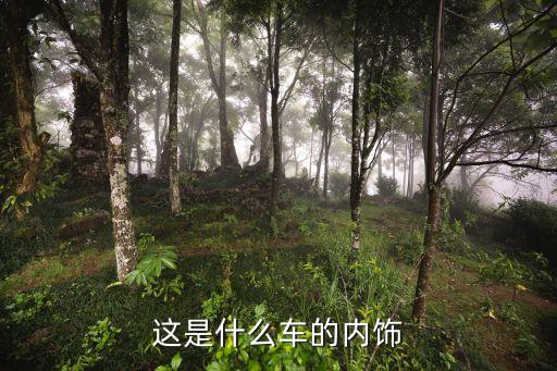 枫叶红汽车内饰怎么样，它的内饰怎么样