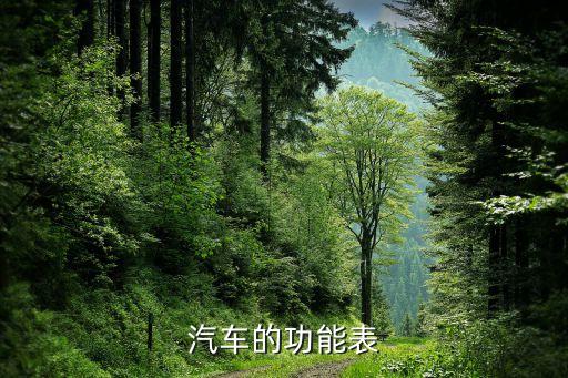 汽车的功能表