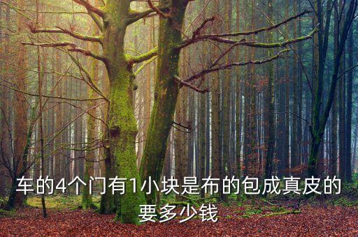 缤智四个车门包真皮多少钱，缤智如果4门板内饰换成真皮的多少钱