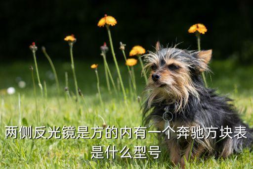 内饰有表的是什么奔驰，奔驰卧车哪些型号的车中间带表盘