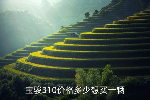宝骏310新车多少钱一台，宝骏310价格多少想买一辆