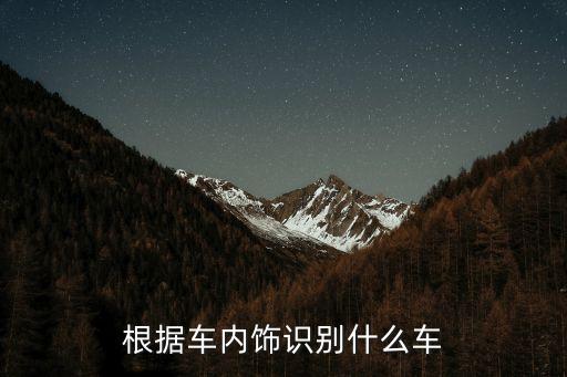 根据车内饰识别什么车