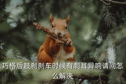 巧格后鼓刹刹车时候有刺耳异响请问怎么解决