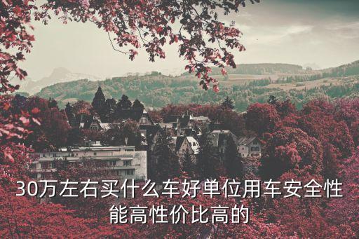 30万左右买什么车好单位用车安全性能高性价比高的