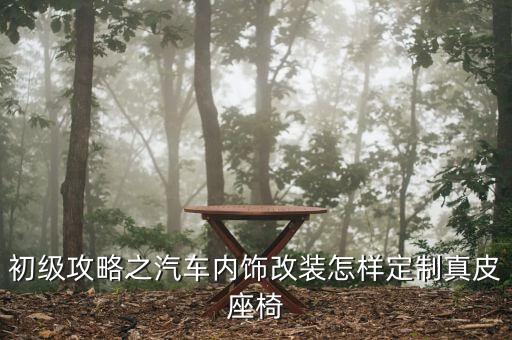 初级攻略之汽车内饰改装怎样定制真皮座椅