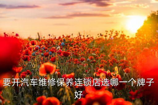 要开汽车维修保养连锁店选哪一个牌子好