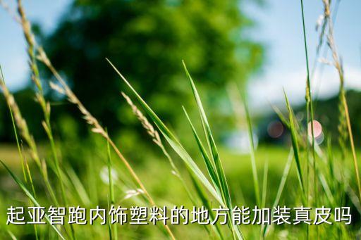 起亚智跑内饰塑料的地方能加装真皮吗