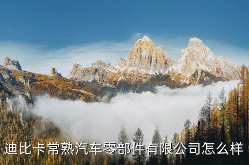 迪比卡常熟汽车零部件有限公司怎么样