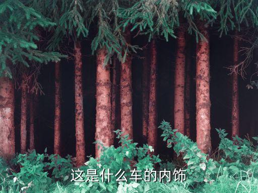这是什么车的内饰