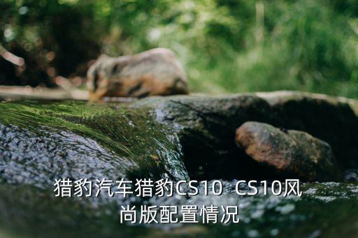 猎豹汽车猎豹CS10  CS10风尚版配置情况