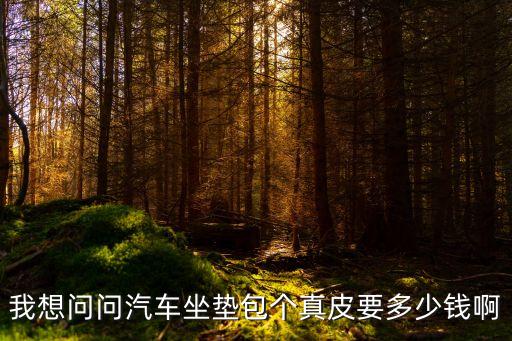 我想问问汽车坐垫包个真皮要多少钱啊