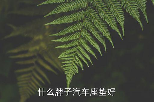 什么牌子汽车座垫好