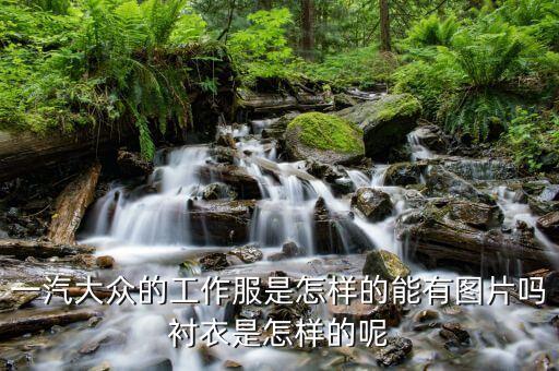 一汽大众的工作服是怎样的能有图片吗衬衣是怎样的呢