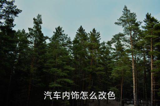 汽车内饰怎么改色