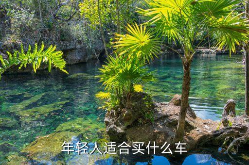 年轻人适合买什么车