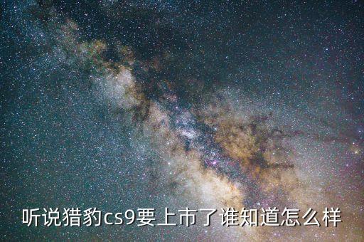 猎豹汽车2022款新车，猎豹汽车猎豹CS10  CS10风尚版配置情况