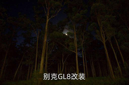 别克GL8改装