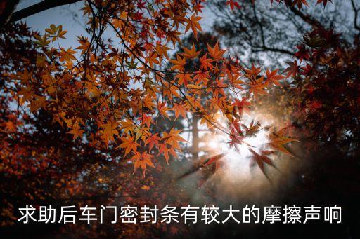 求助后车门密封条有较大的摩擦声响