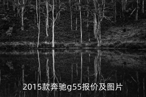 2015款奔驰g55报价及图片