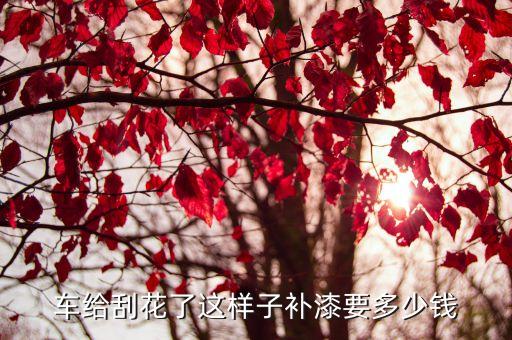 小车刮花图片大全，小车刮花了多少钱修理有图