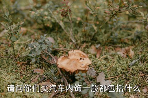 请问你们买汽车内饰一般都包括什么