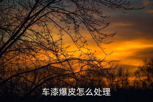 车漆爆皮怎么处理