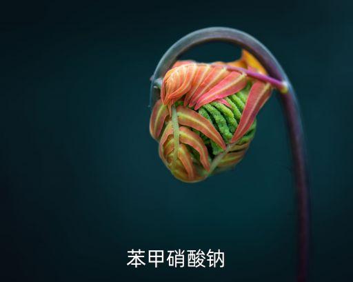 全身防尘服SUV塞满建筑垃圾，QQ堂半身怎么站