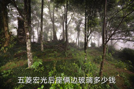 五菱宏光后座俩边玻璃多少钱