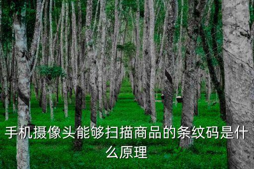 手机摄像头能够扫描商品的条纹码是什么原理