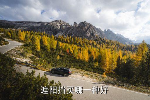 遮阳挡买哪一种好